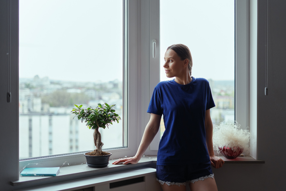 Lake Geneva Window Styles